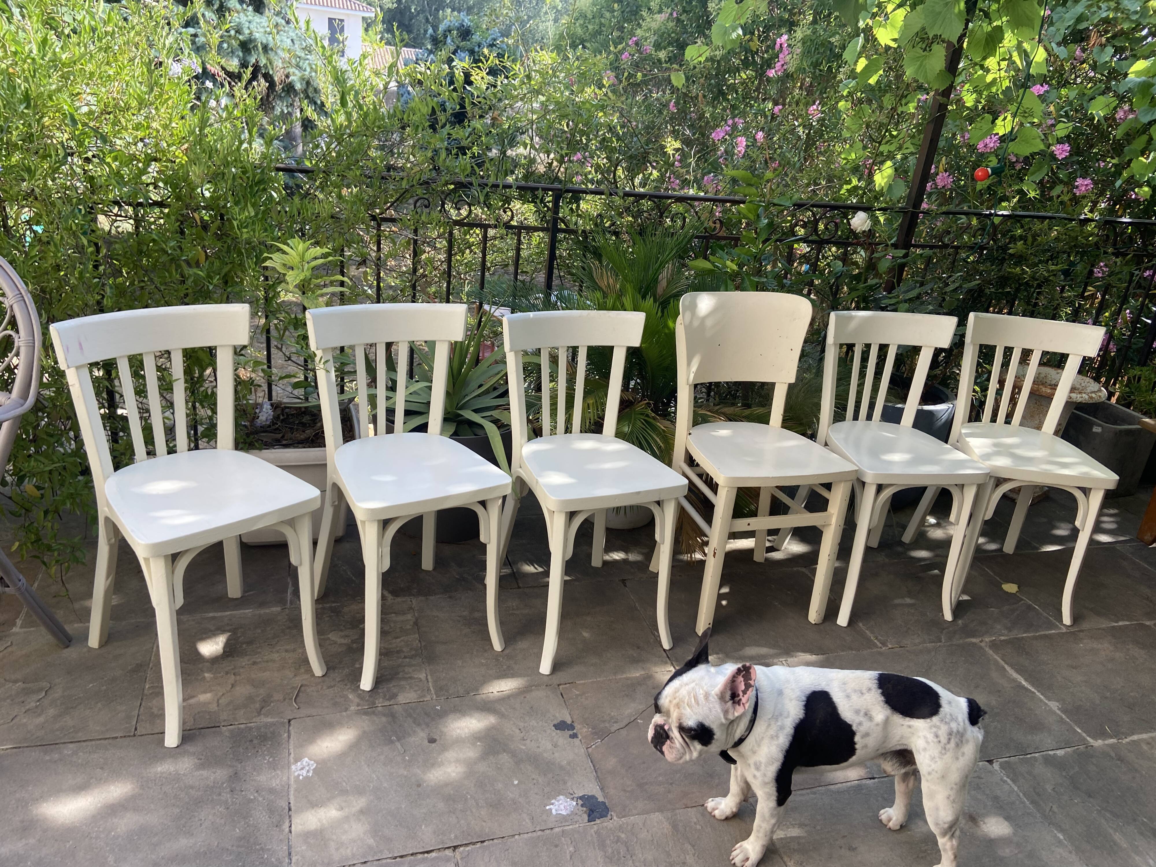 Série de 6 chaises bistrot Baumann vintage