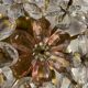 Plafonnier en verre de Murano à motif floral rose des années 1970