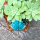 Cache pot en céramique
