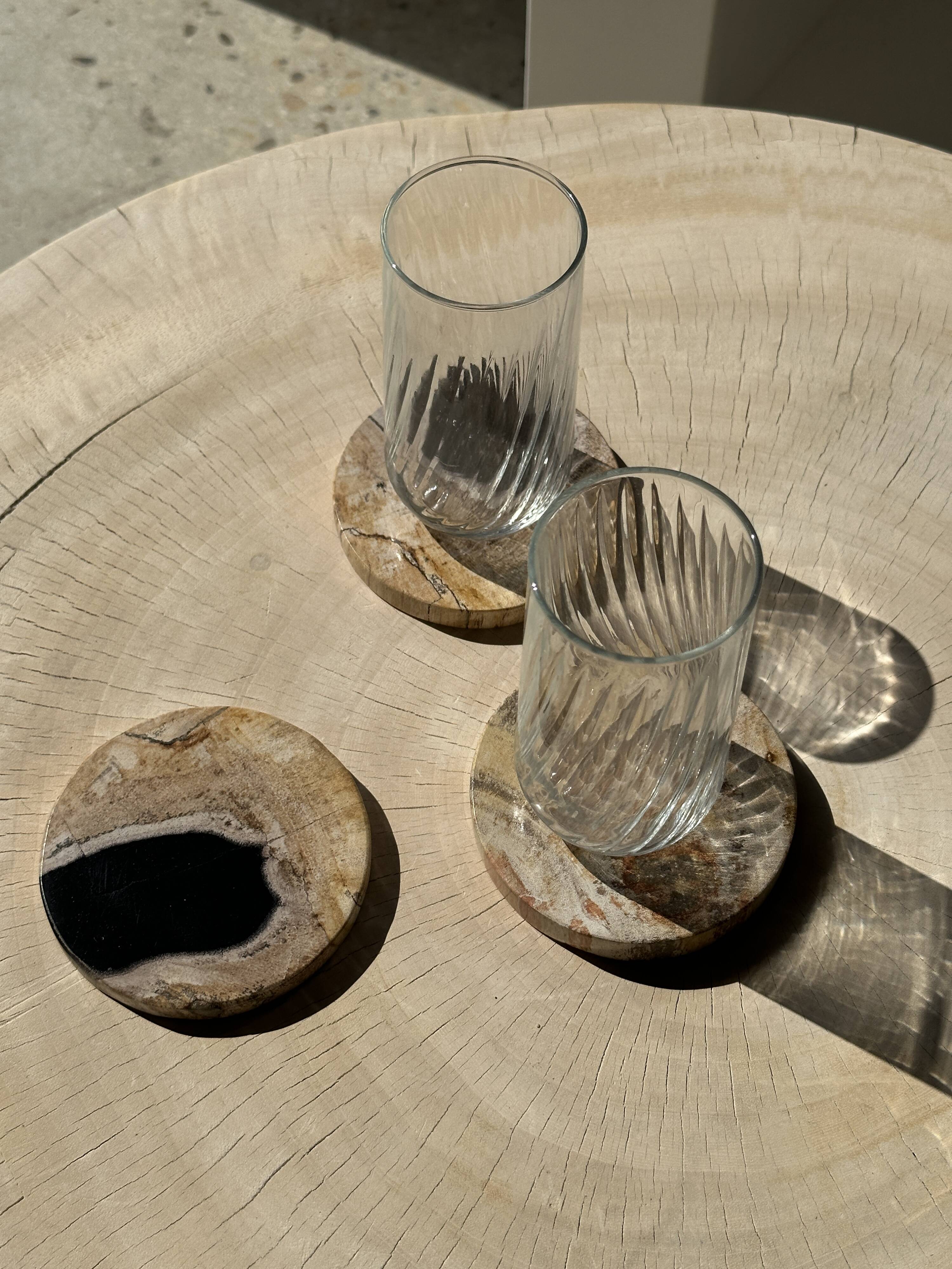 Set of 3 fossilized wood coasters (clear)