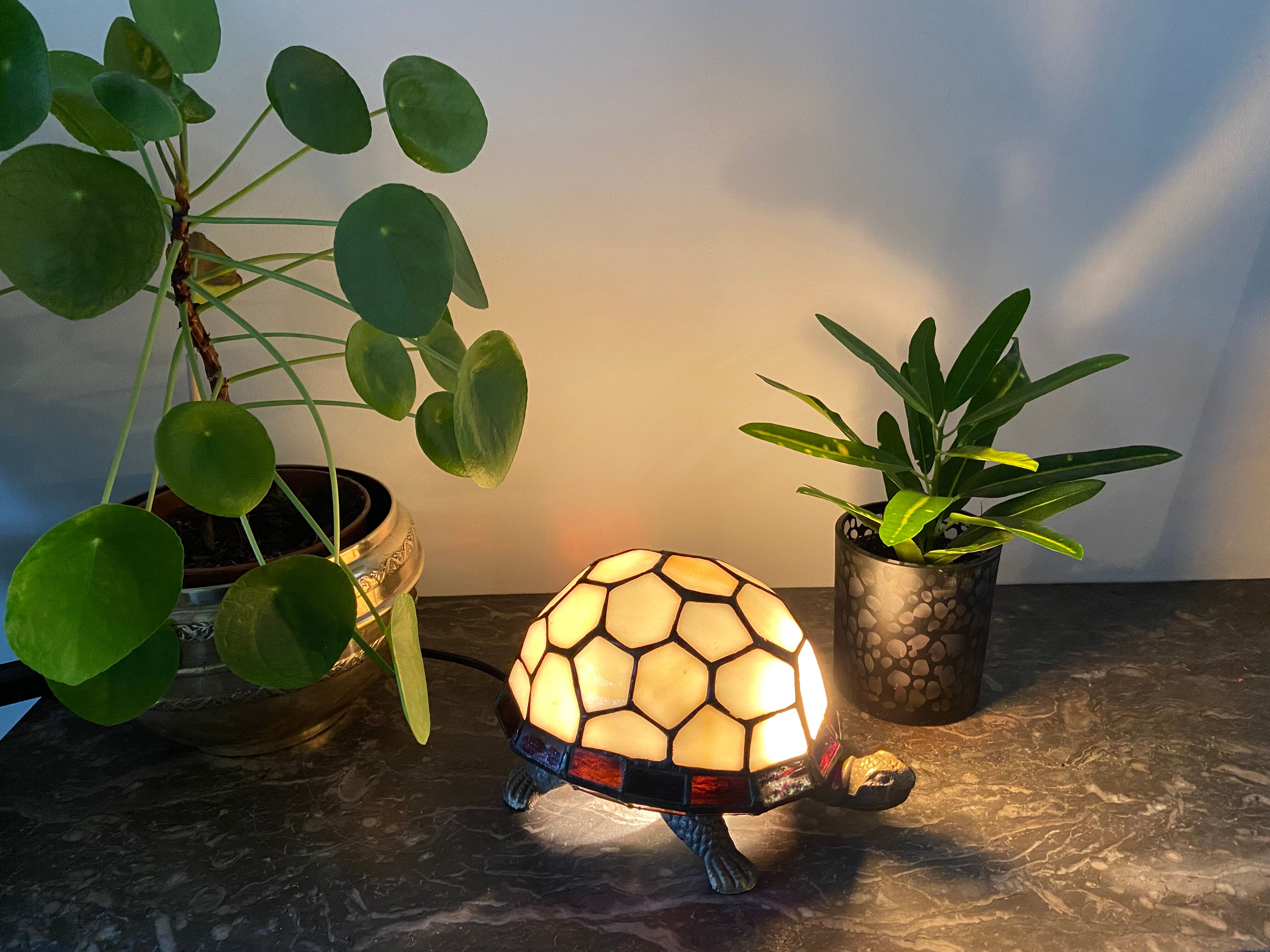 Tiffany-Style Turtle Lamp-1980s