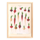 Poster on radishes, based on an old engraving from 1886.
