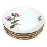 6 Bohemian Fine Porcelain Dinner Plates