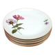 6 Bohemian Fine Porcelain Dinner Plates