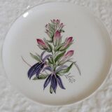 Set of 4 royal cauldom plates