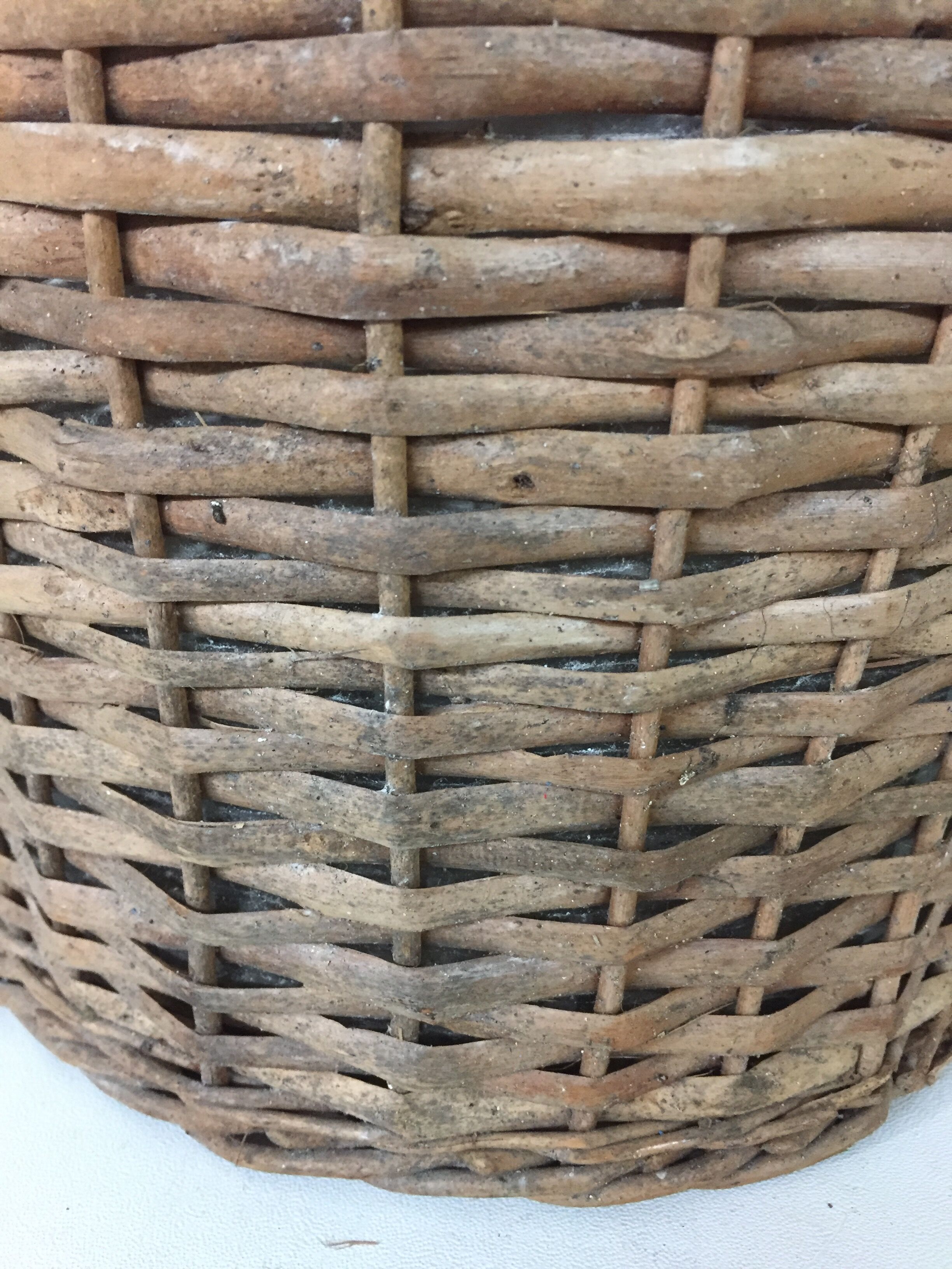 Demijohn stuffed, 1960