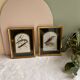 Two vintage bird prints by David Andrews - Chickadee and Song Thrush