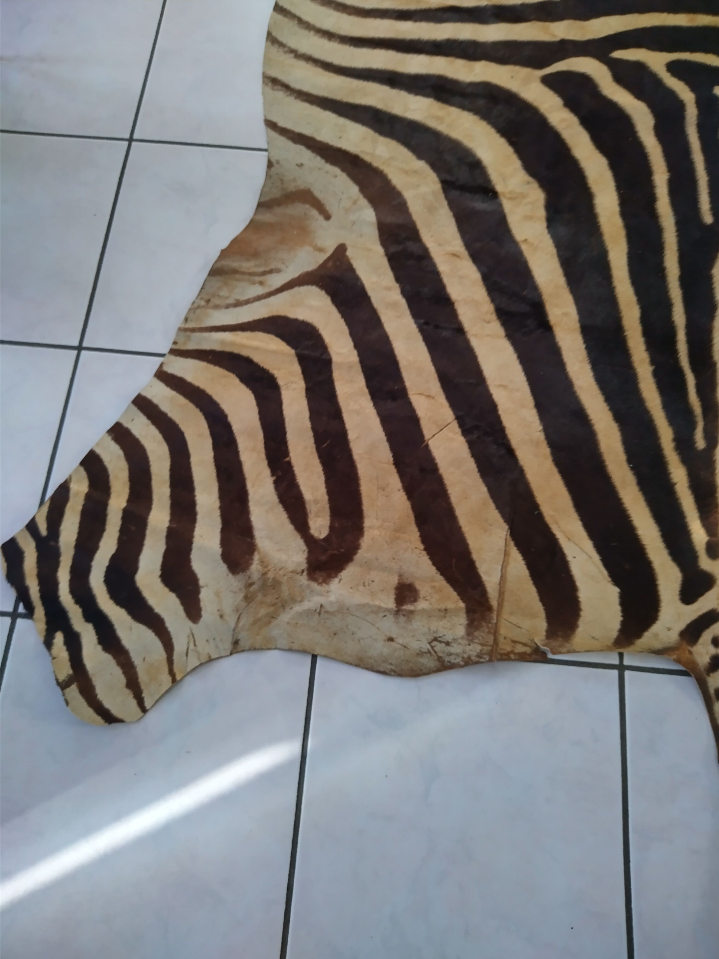 Zebra skin