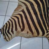 Zebra skin
