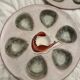 Oyster set