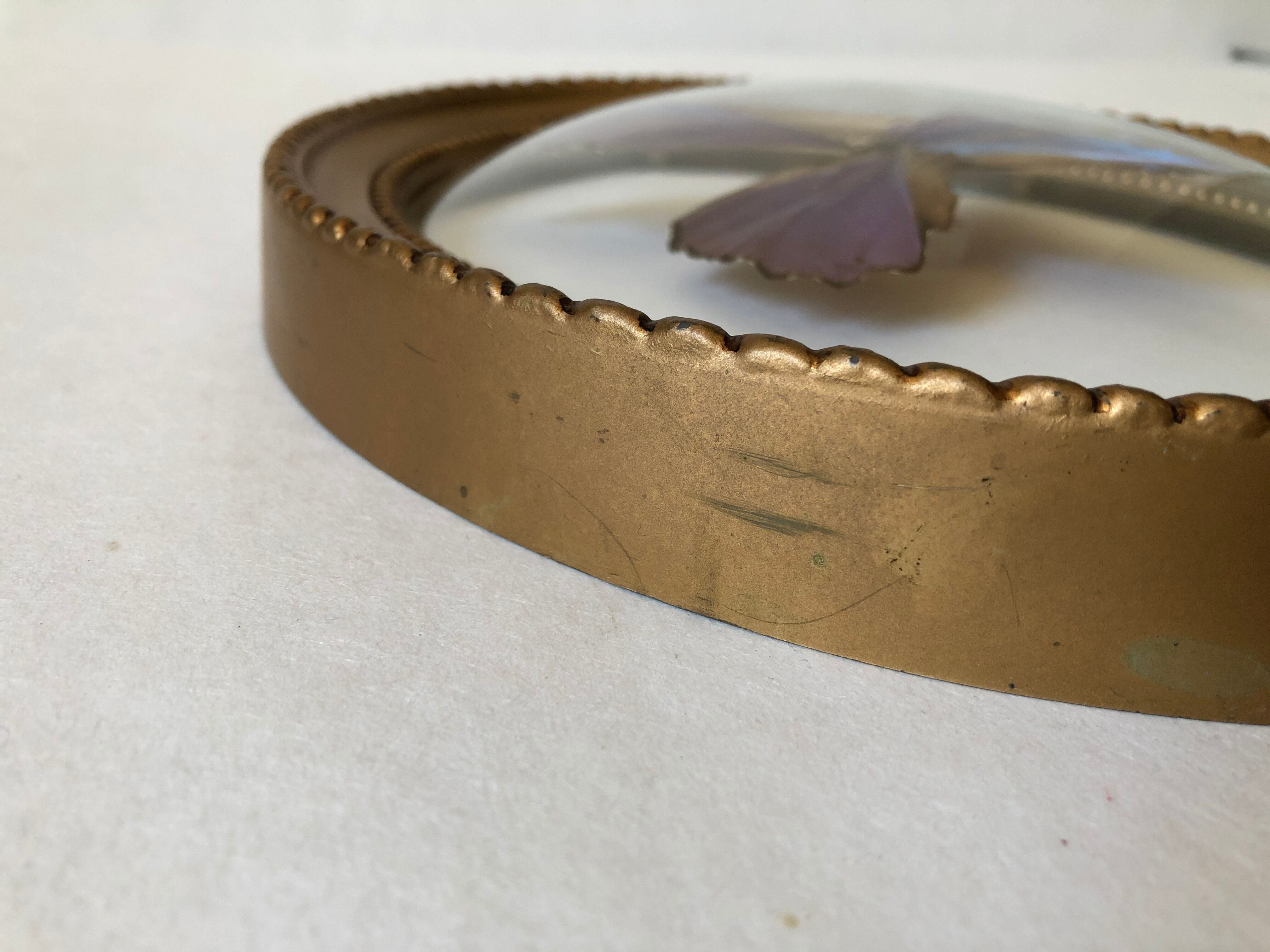 Naturalized butterfly oval bulging frame