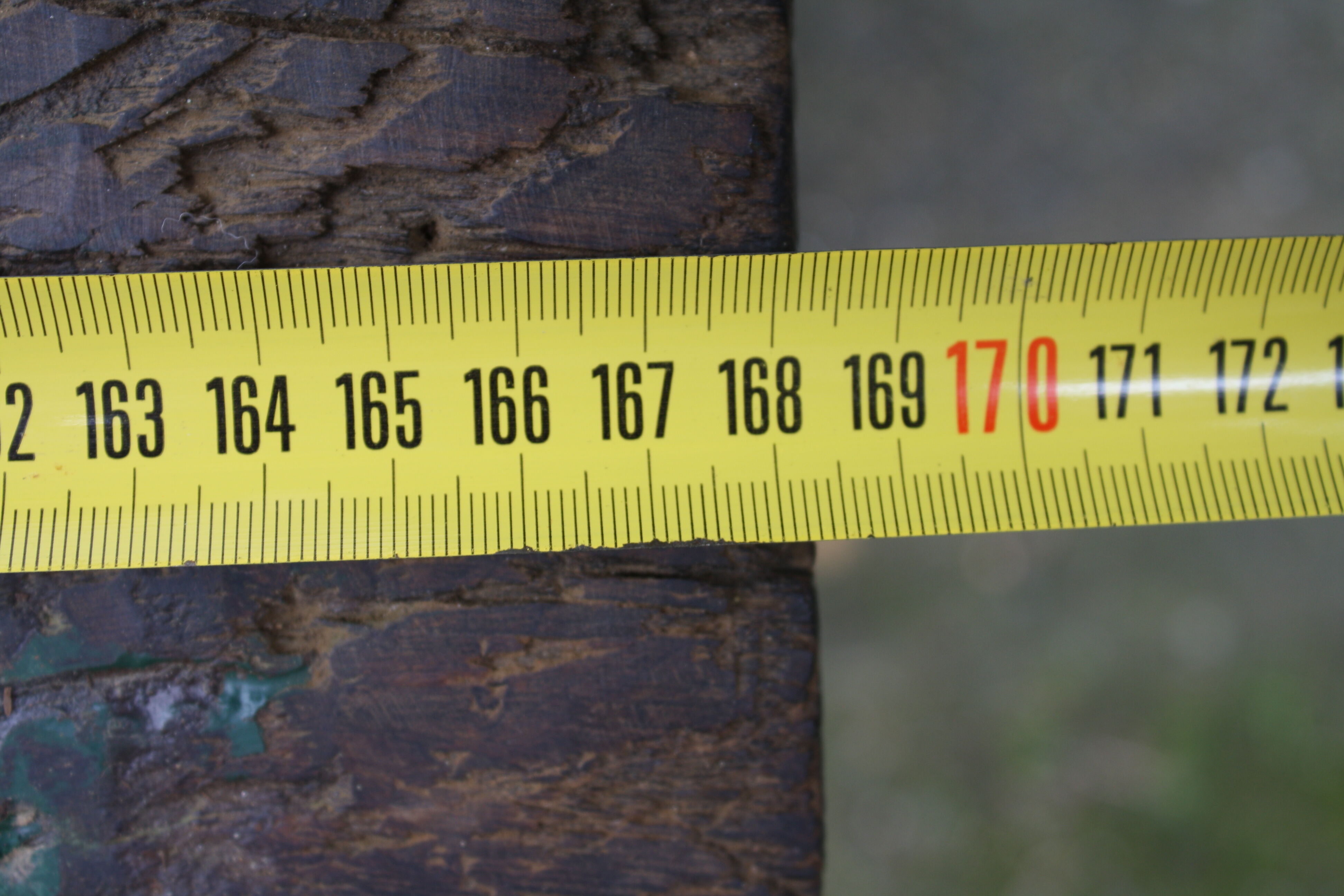 Old wooden Workbench