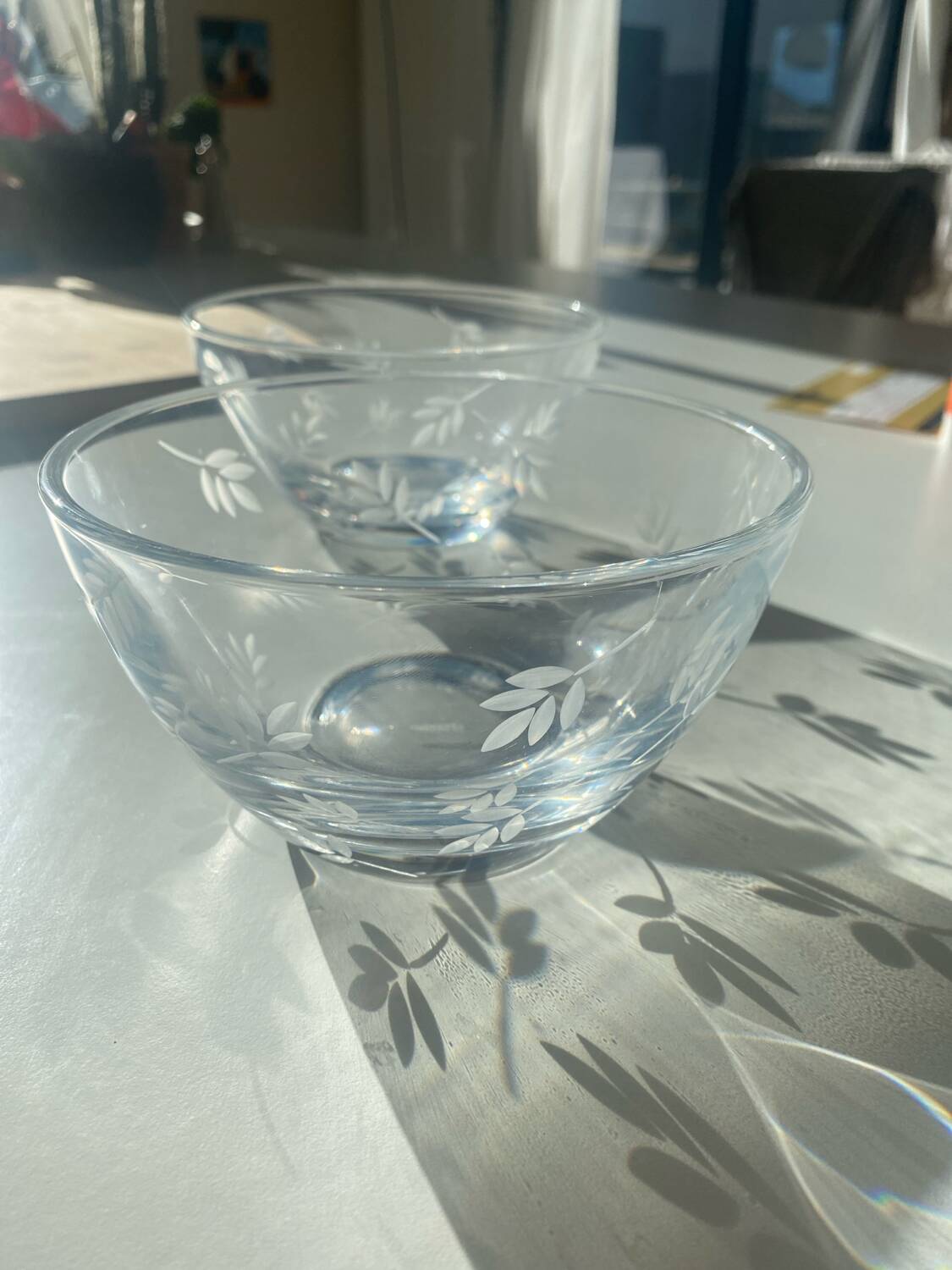 2 crystal bowls JG Durand