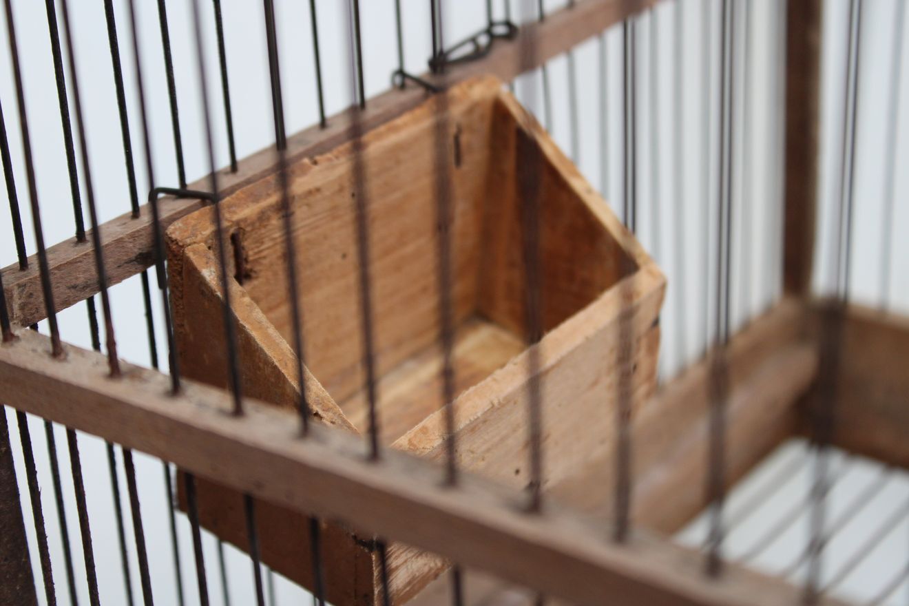 Old wooden bird cage