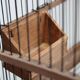 Old wooden bird cage