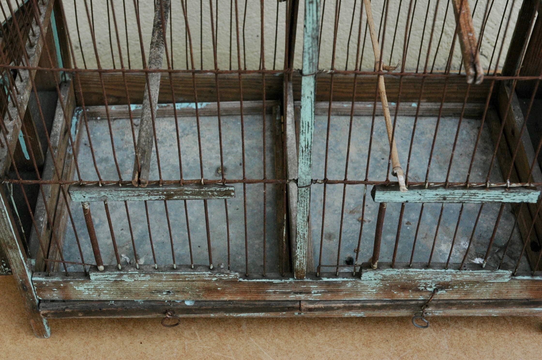 Ancient bird cage in wood and metal