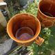 Space Age camel mugs