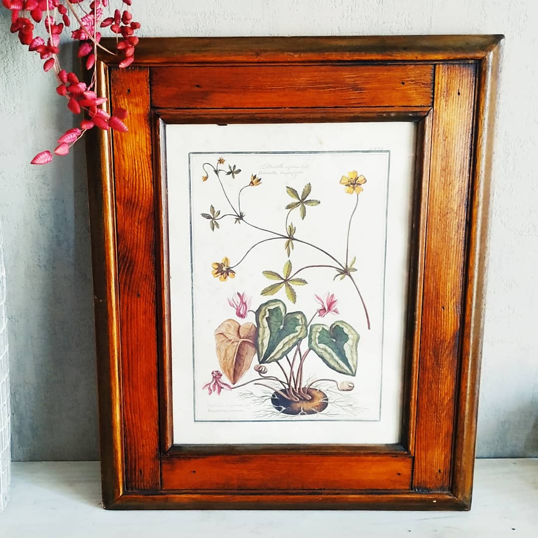 Lithographic botanical board frame