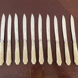 Set of 12 vintage knives and case