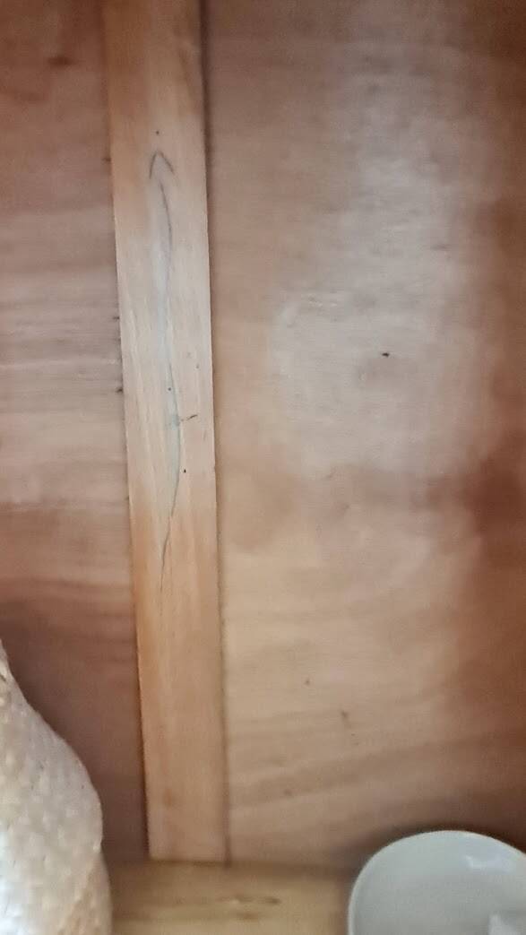 Parisian wardrobe - showcase spirit