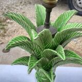 Ceramic lamp by Jean Roger France circa 1960