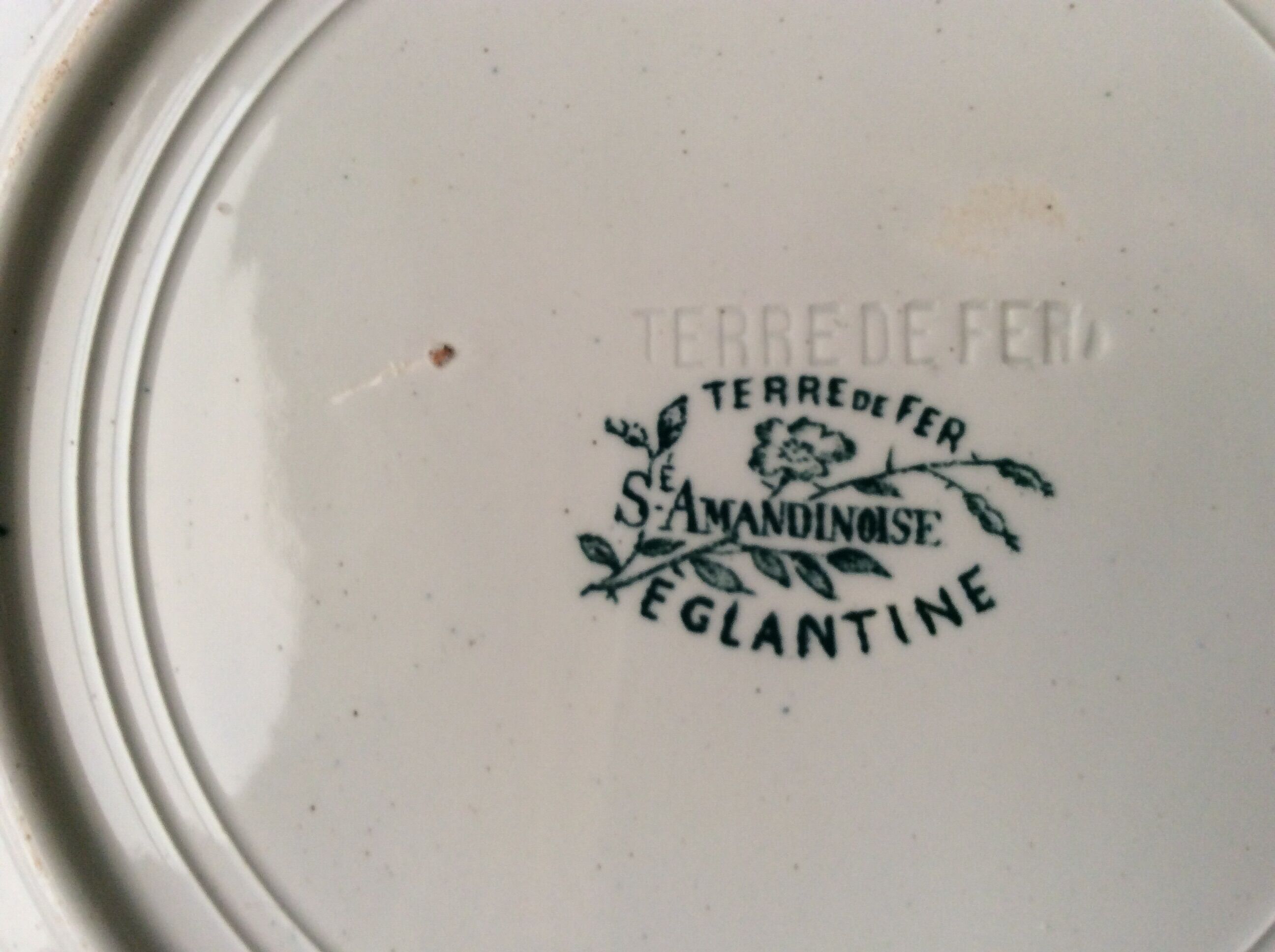 Série de 4 assiettes anciennes Terre de Fer modèle « Églantine »