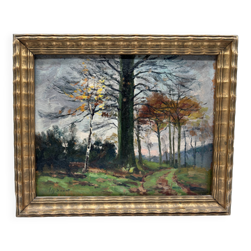 HSP d'Edgard d'Hont (1861 - 1941) - l'éclaircie