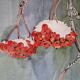 Original framed watercolor bird on snowy rowan tree