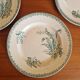 Set of 5 Saint Amandinoise Muguet Plates