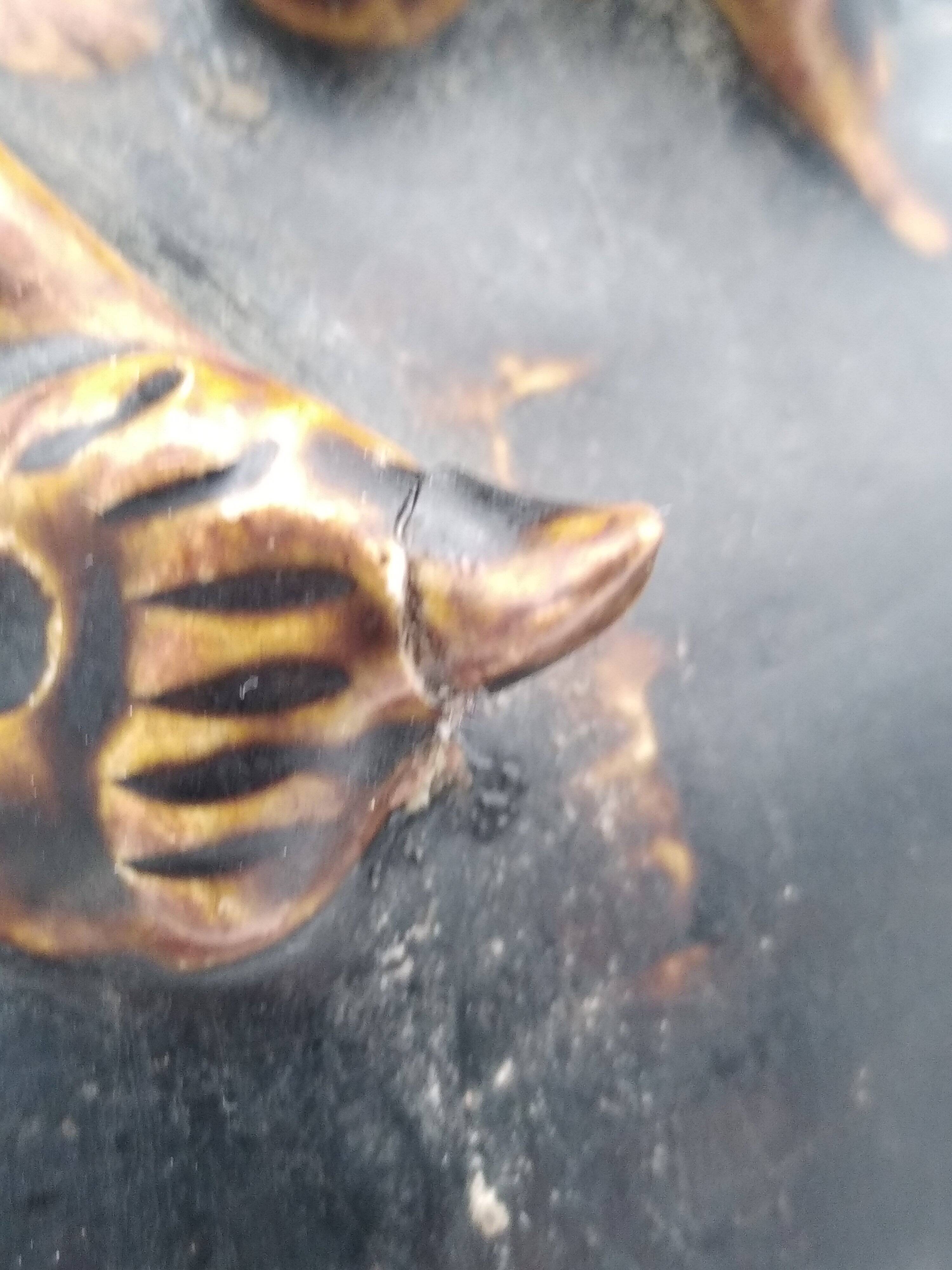 Antique Khmer ceramic vase. With elephant decoration.