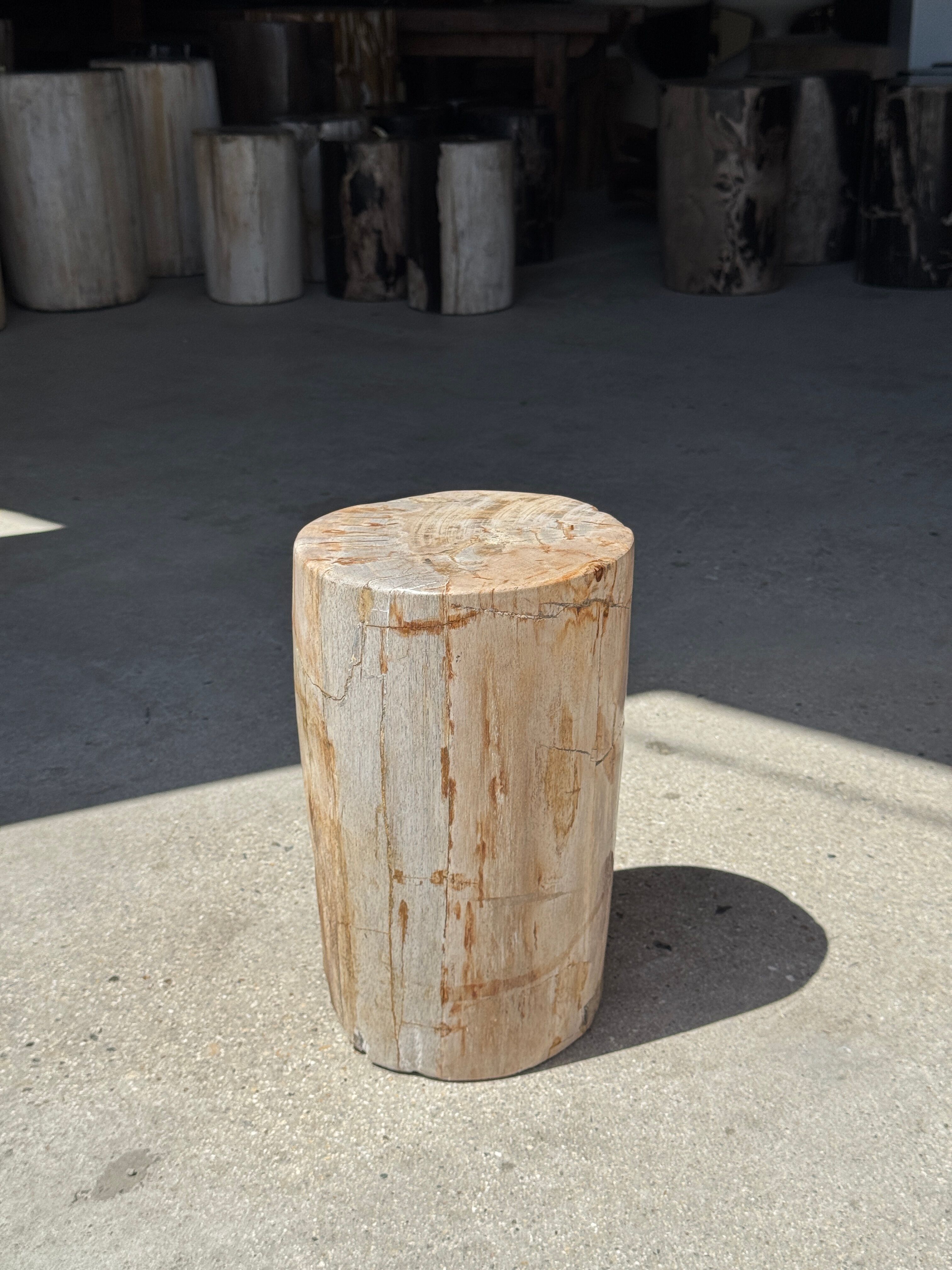 Small side table in white, grey, beige petrified wood H28 D18 - 3330