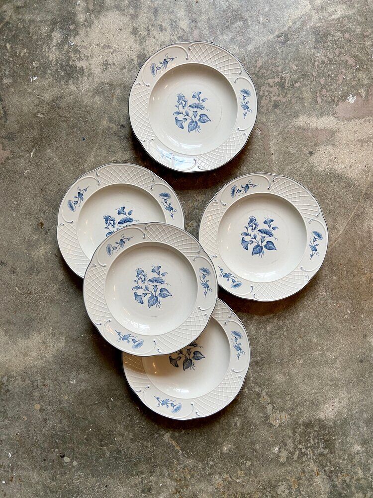 5 hollow plates Villeroy & Boch in porcelain