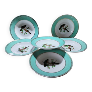 Lot de 6 assiettes oiseaux