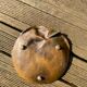 Art Nouveau bronze catchall/dish signed Leon Kann.