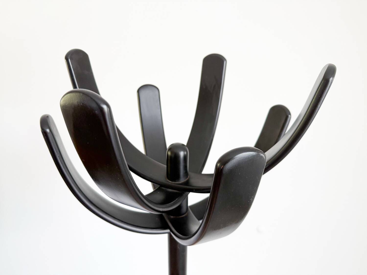 Cactus coat rack by Mauro Pasquinelli, Italy 2970