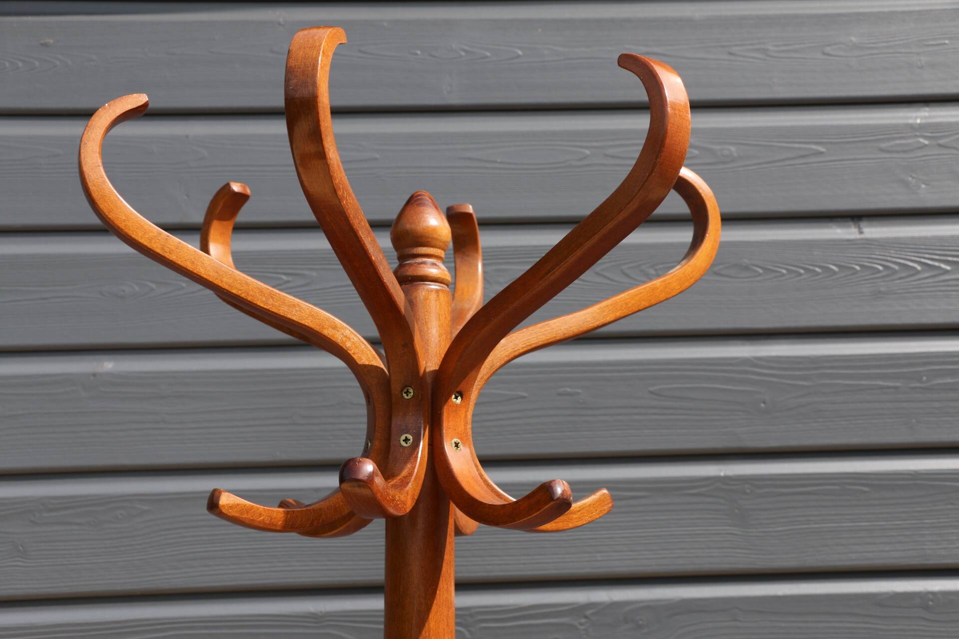 Baumann parrot coat rack in beech