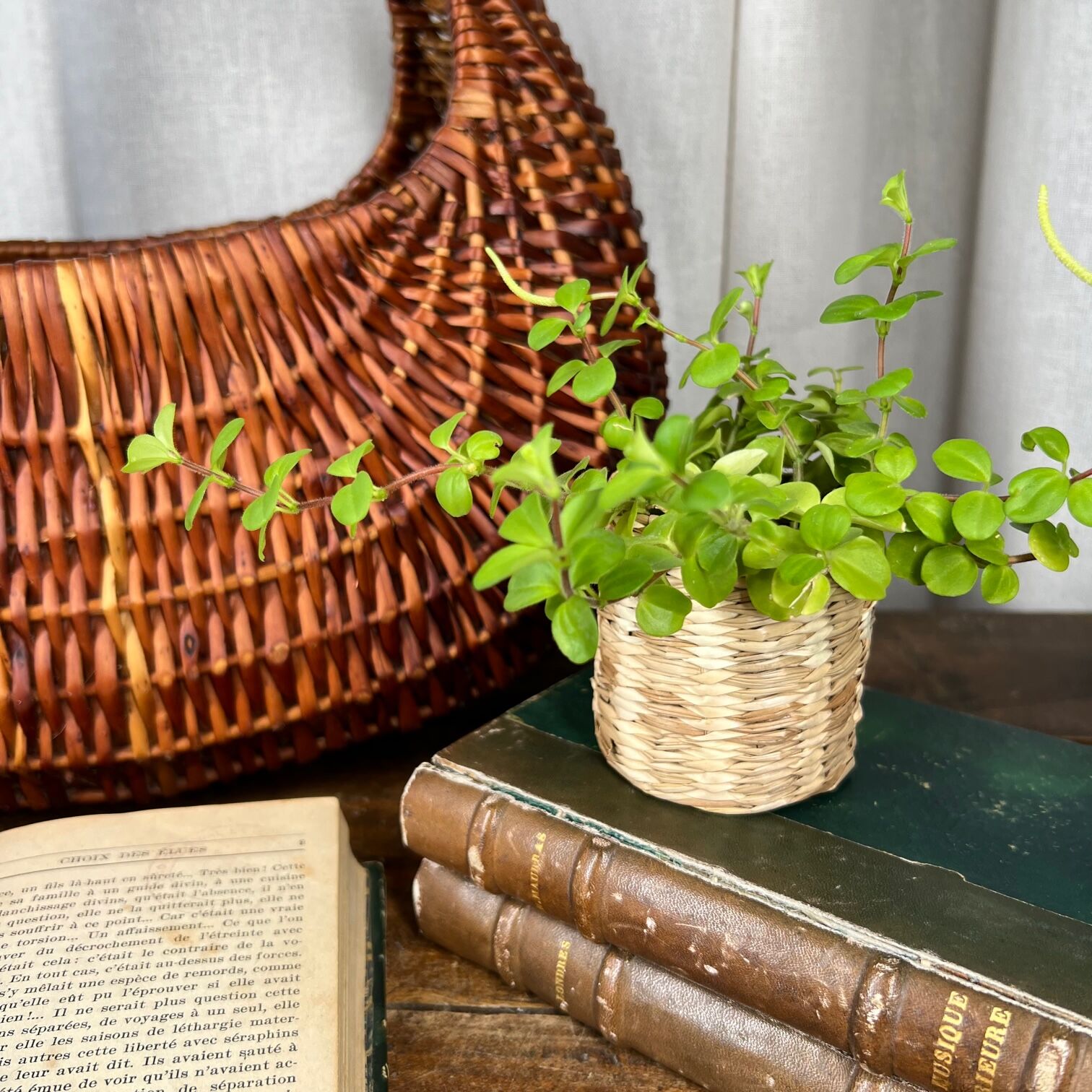 Old wicker basket "gondola" with handle