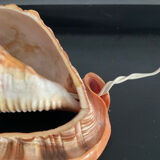 Vintage shell lamp from the 50s-60s