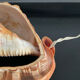 Vintage shell lamp from the 50s-60s