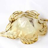 Empty crystal pocket