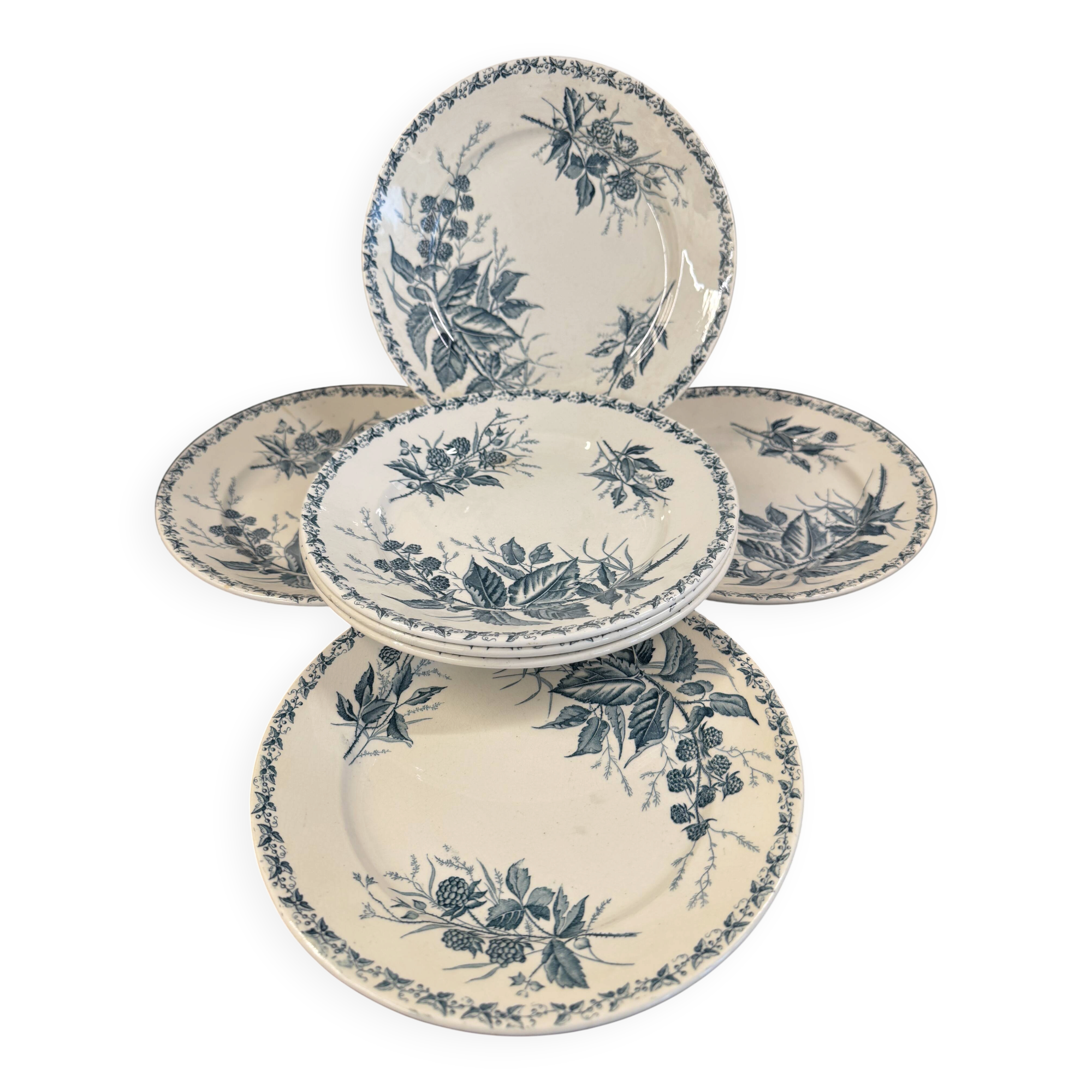 7 deep plates in ironstone "Mûre" Badonviller