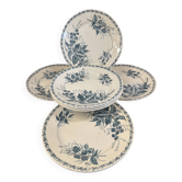 7 deep plates in ironstone "Mûre" Badonviller