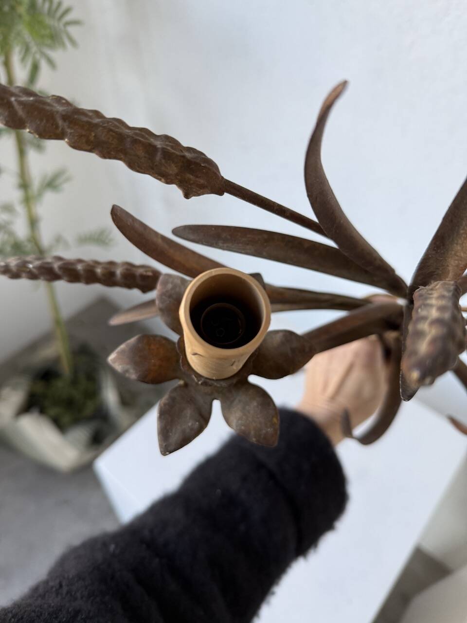 “Ear” wall light in gilded brass