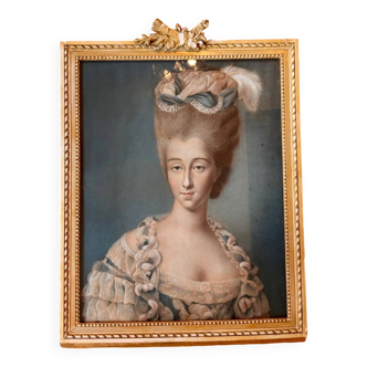 Portrait of an elegant 19th century woman