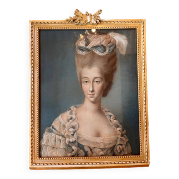 Portrait of an elegant 19th century woman