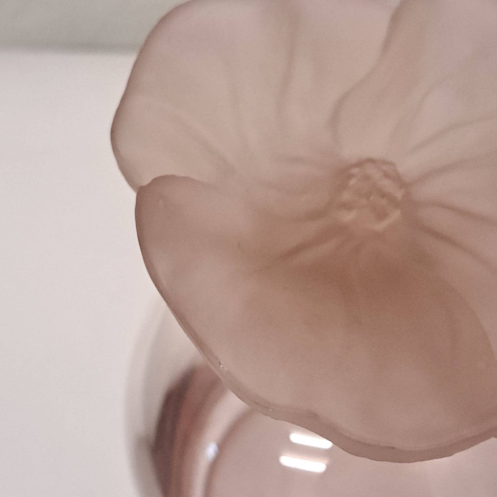 Vase with flower cap, Nason