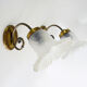 Pair of brass swan collar wall light old tulip glass. Year 60