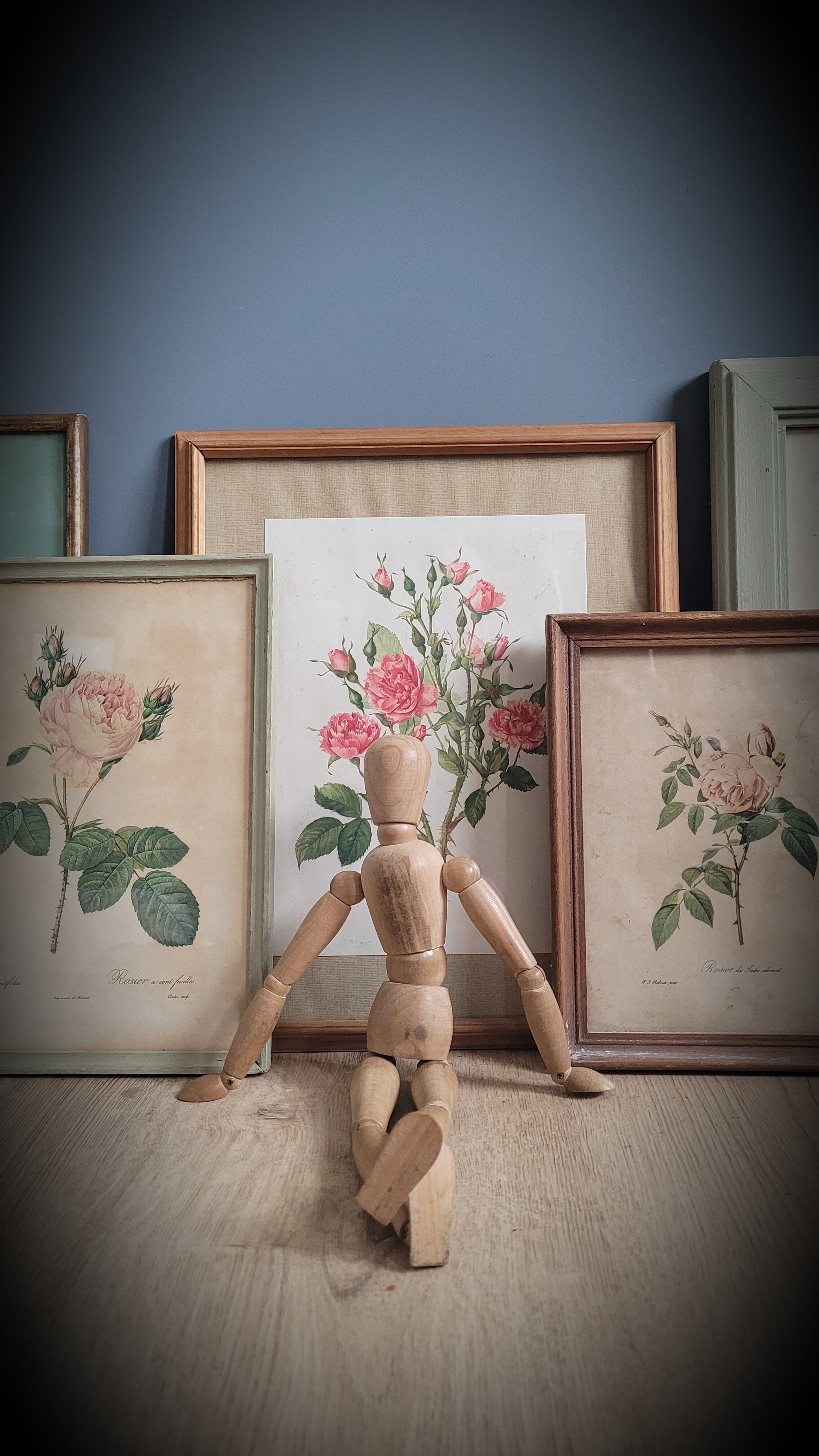 Litho Rose Eglantier