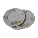 Antique porcelain plates