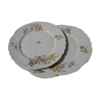 Antique porcelain plates